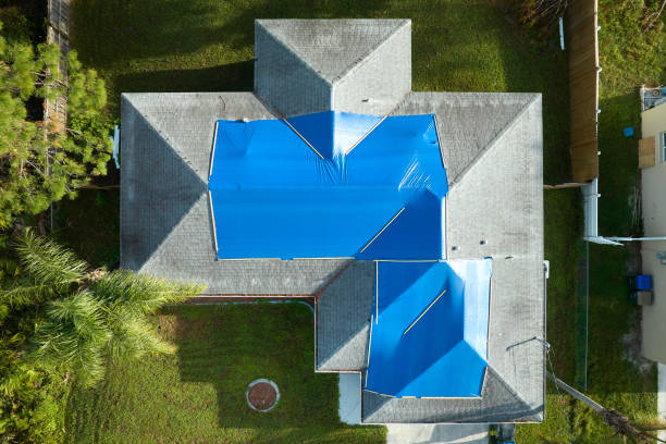 Best Roof Moss and Algae Removal  in Trinity, TX