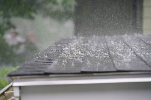 Best Skylight Installation and Repair  in Trinity, TX