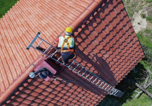 Best Storm Damage Roof Repair  in Trinity, TX
